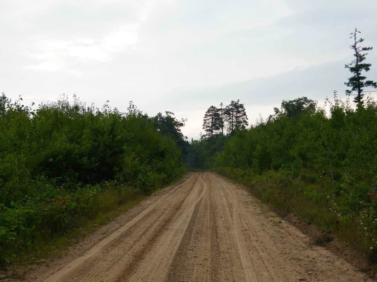 Brush Creek Truck Trail photo 4