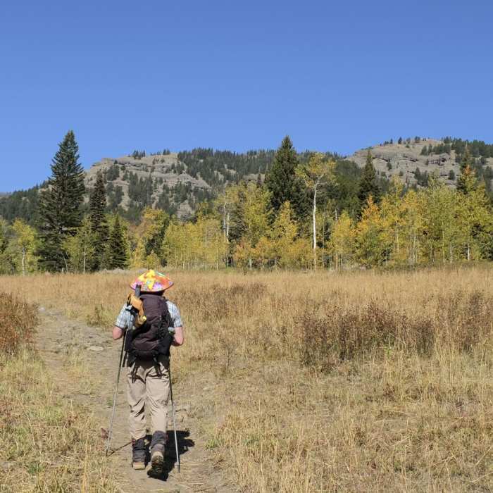 Near Gallatin Petrified Forest