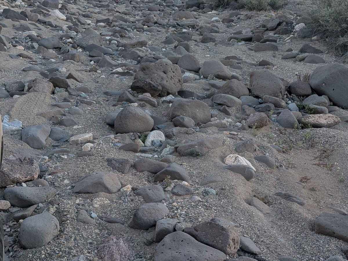 BLM 654 photo 3