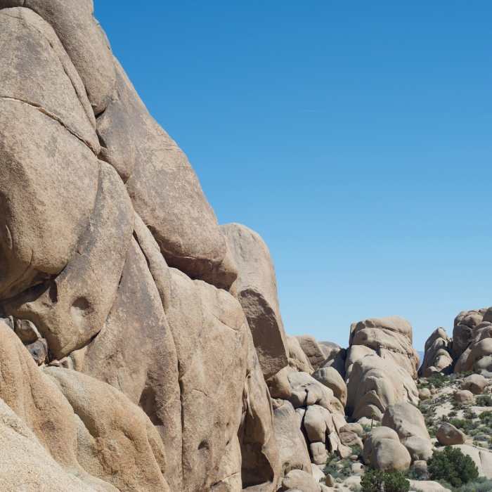 Near Split Rock Loop Trail