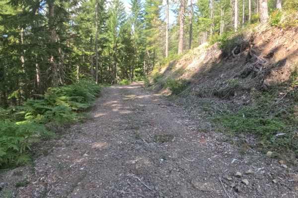 Deer Toe Road - FS 2047770
