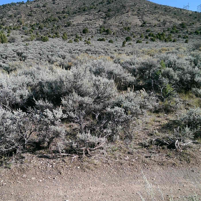 Near Avon Singletree Connector (ASC)