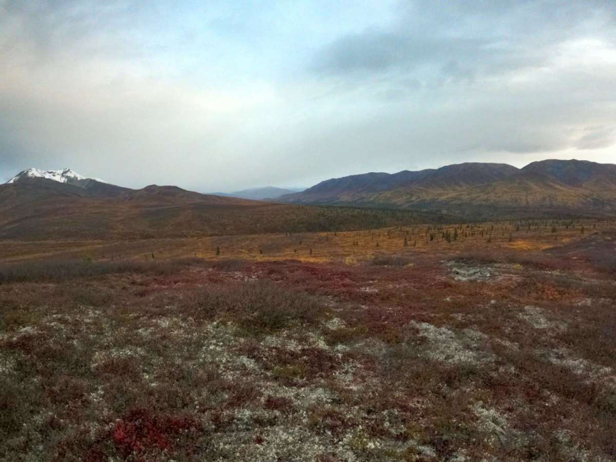 Gunsight Mountain photo 2