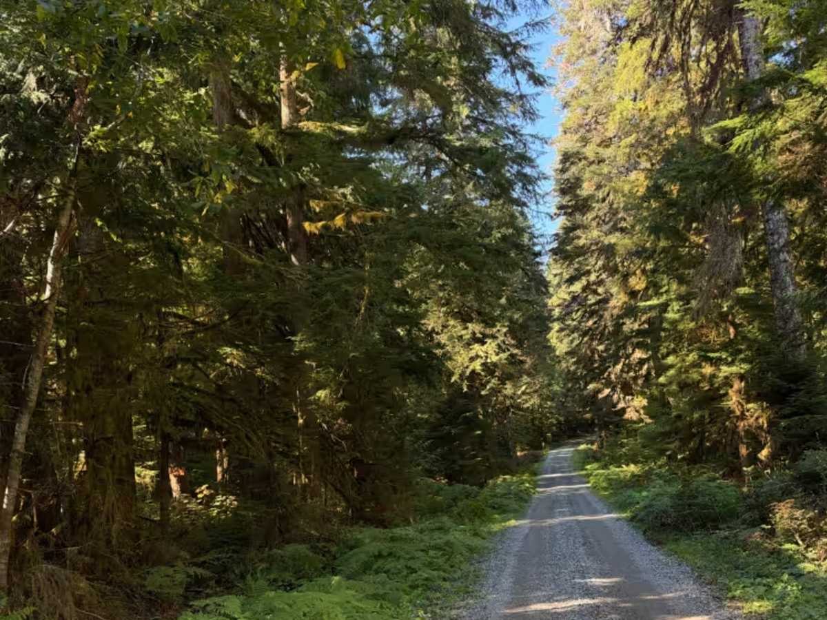 Rinker Ridge photo 6