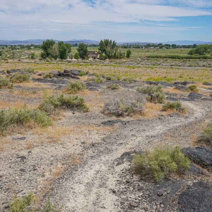 Near Rattlesnake Hill Loop
