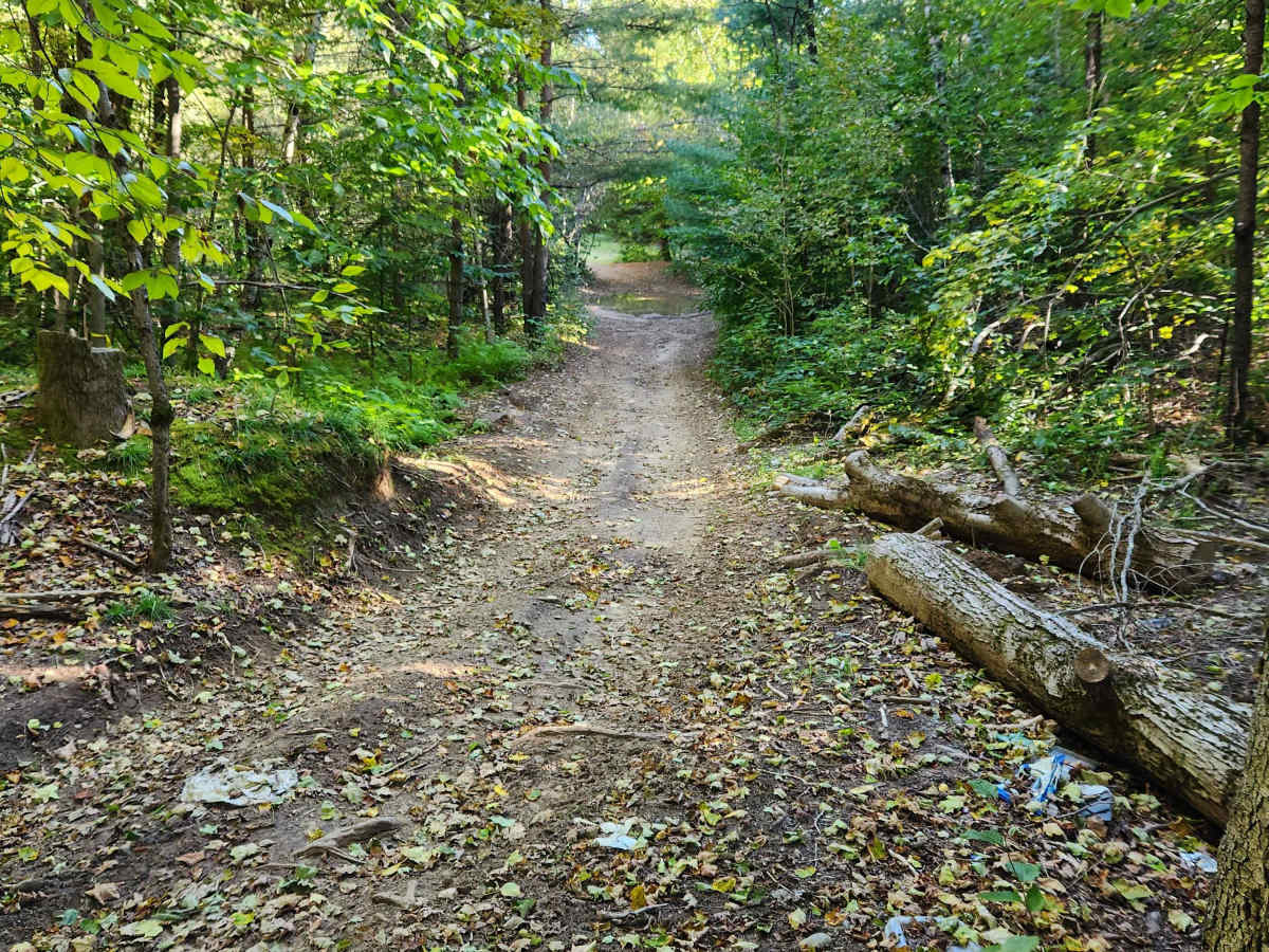 Military Road trail photo