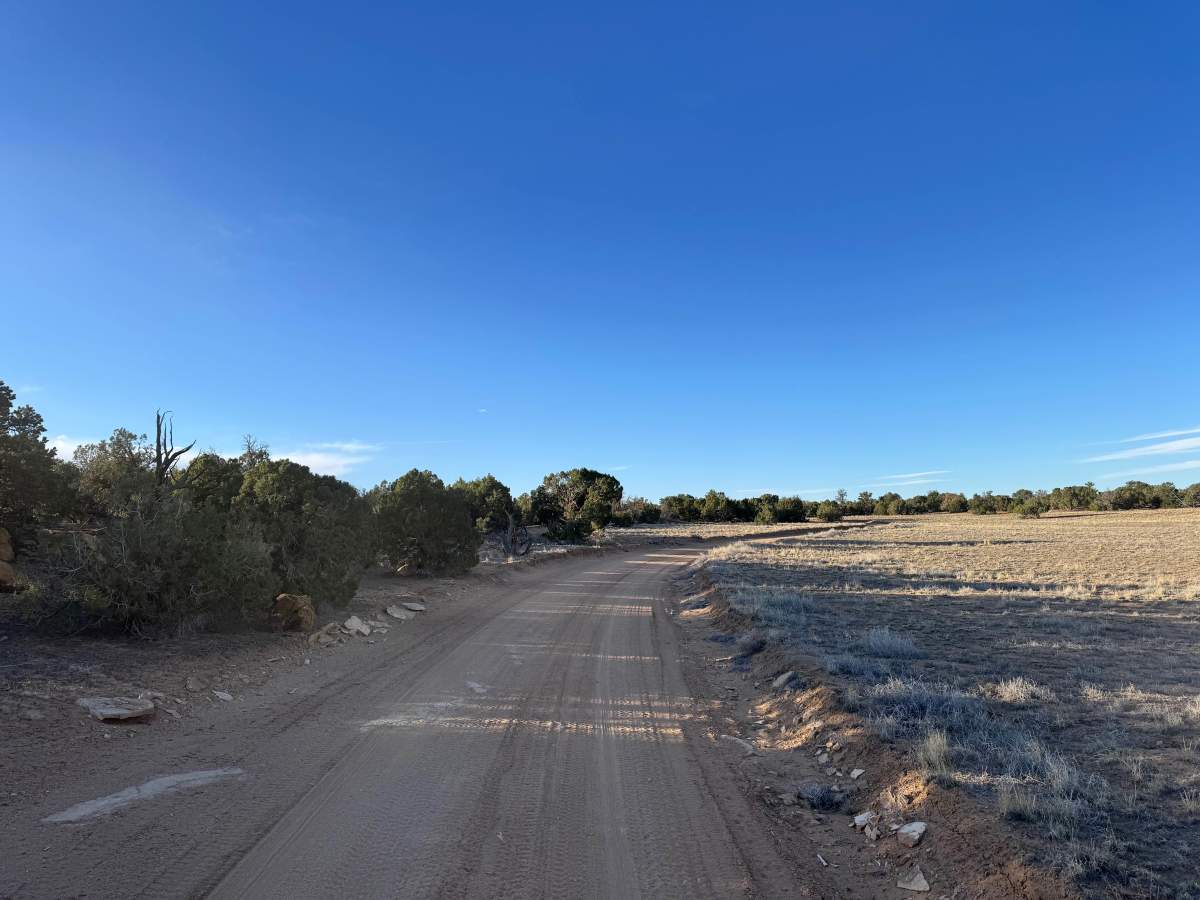 BLM 626 photo 4