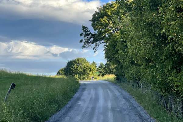 Steven's Road