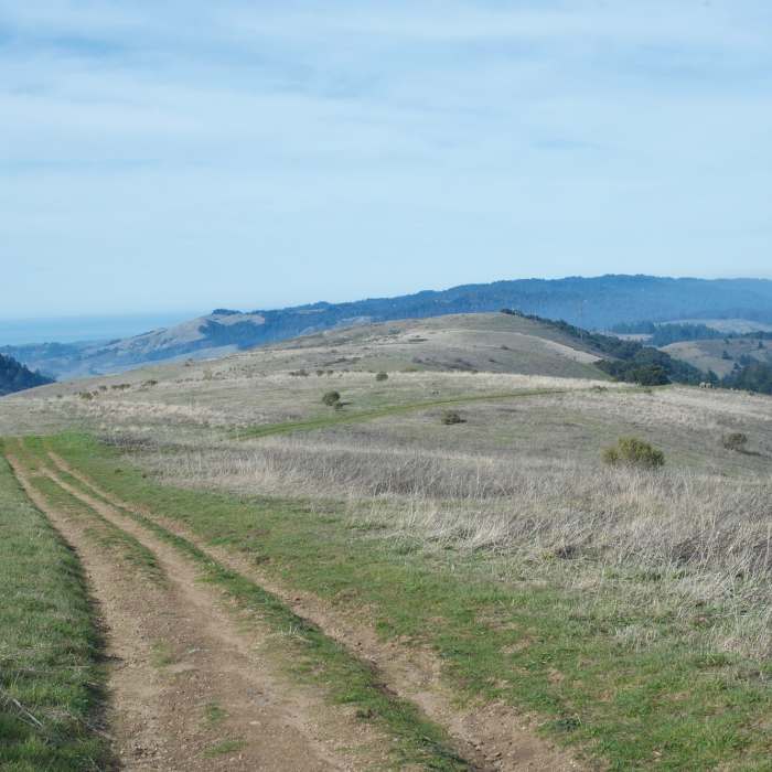 Near Borel Hill Trail
