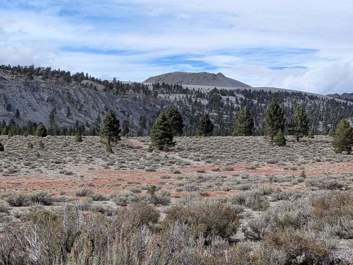 Mono Craters - FS 1S07 photo 6