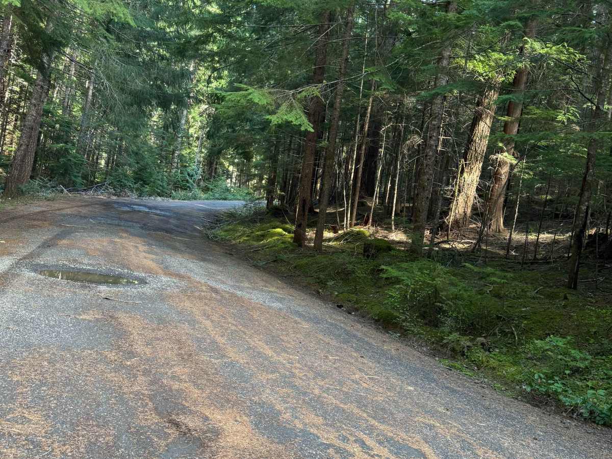 Carlton Creek Road- FS 4400 photo 5