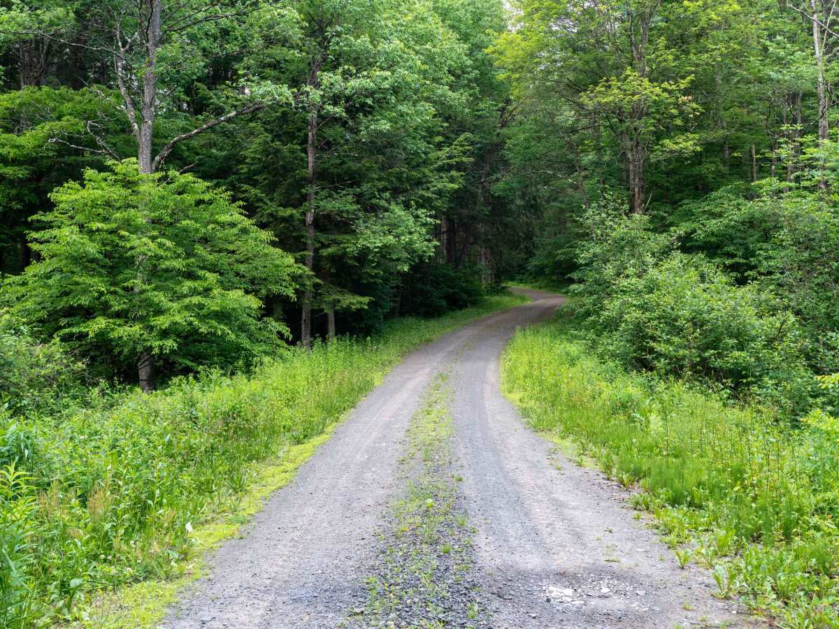 Truck Trail 6 photo 3