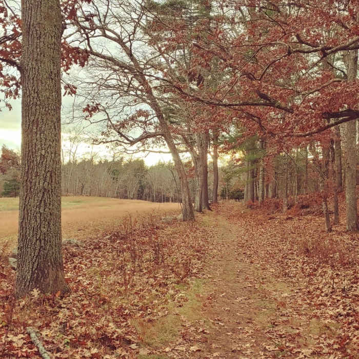 Near Rocky Narrows Loop