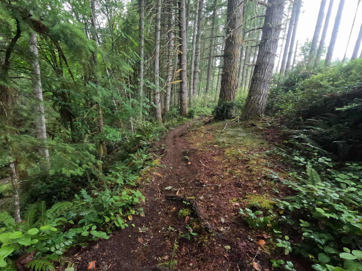 Twin Lakes Trail photo 6