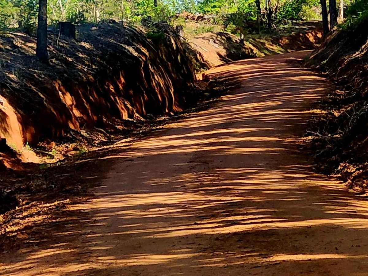 Tatum Road Trail photo 2