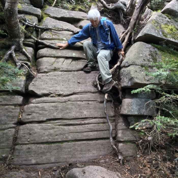 Near Burroughs Range Trail (Wittenburg Cornell Slide Trail)