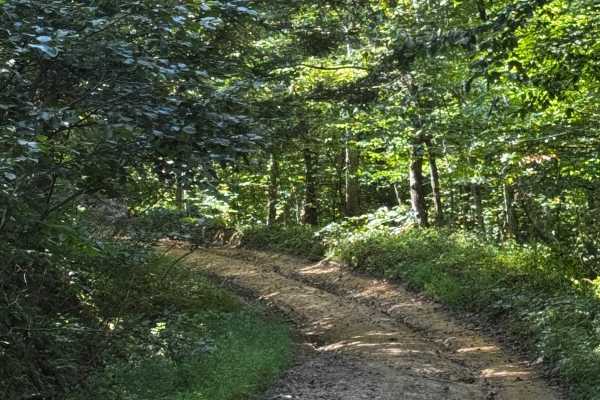 JC Trail 1