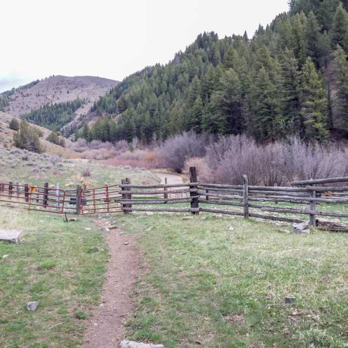 Near Willow Creek/Little Cottonwood