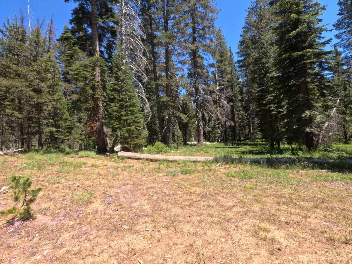 South Sucker Road - FS 11N26E photo 2