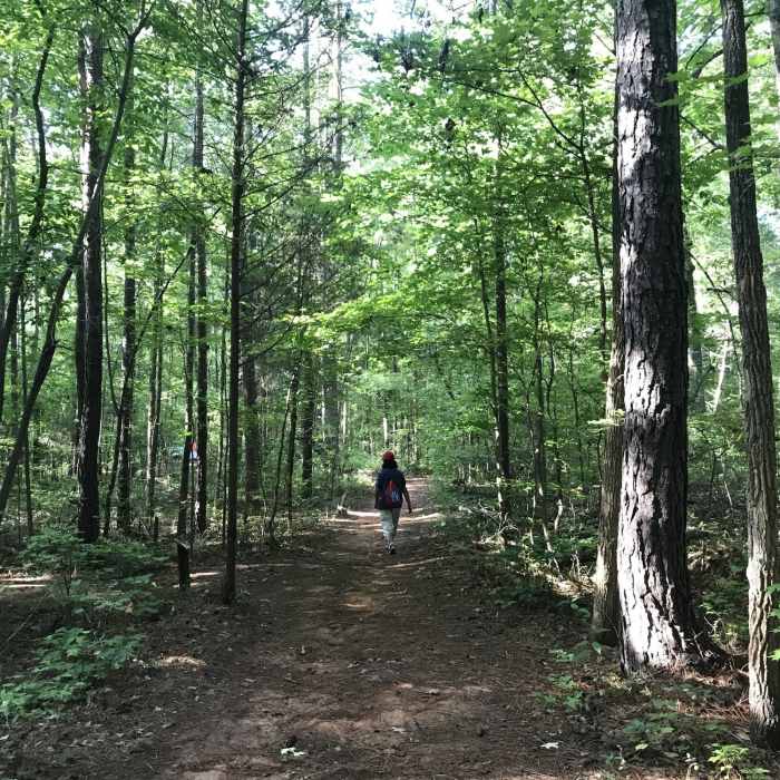 Near Lake Haigler Loop