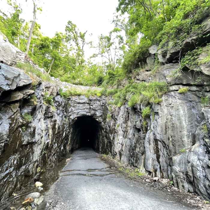 Near Blue Ridge Tunnel Trail
