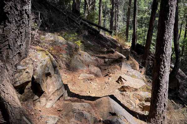 Trail 6 (12E50)  