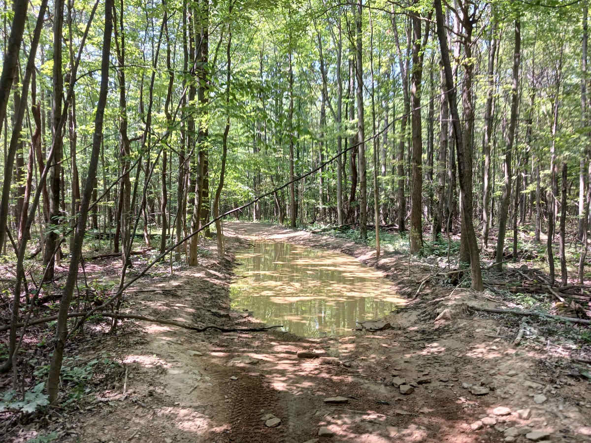 Kit Row - Rock Run Recreation Area trail photo