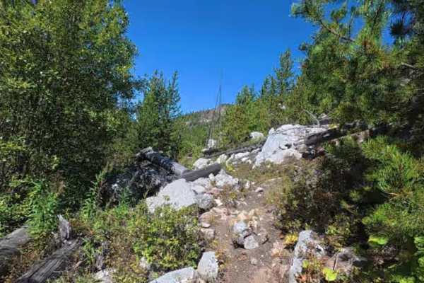 Sleeping Child Creek Trail - FS 84