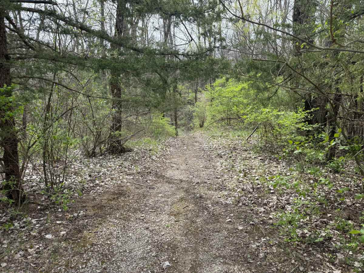 Hillclimb Trail  photo 3
