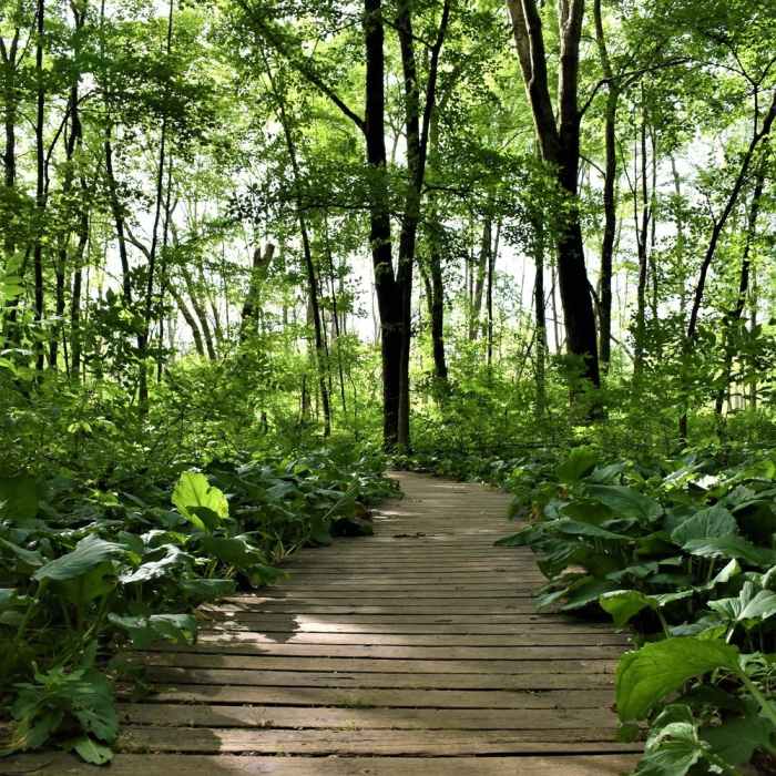 Seidman Park" courtesy of Kent County Parks Department. Near Seidman Park Outside Loop