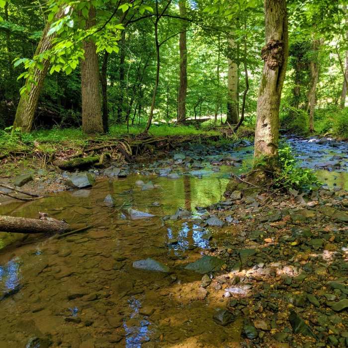 Near Patapsco Perimeter