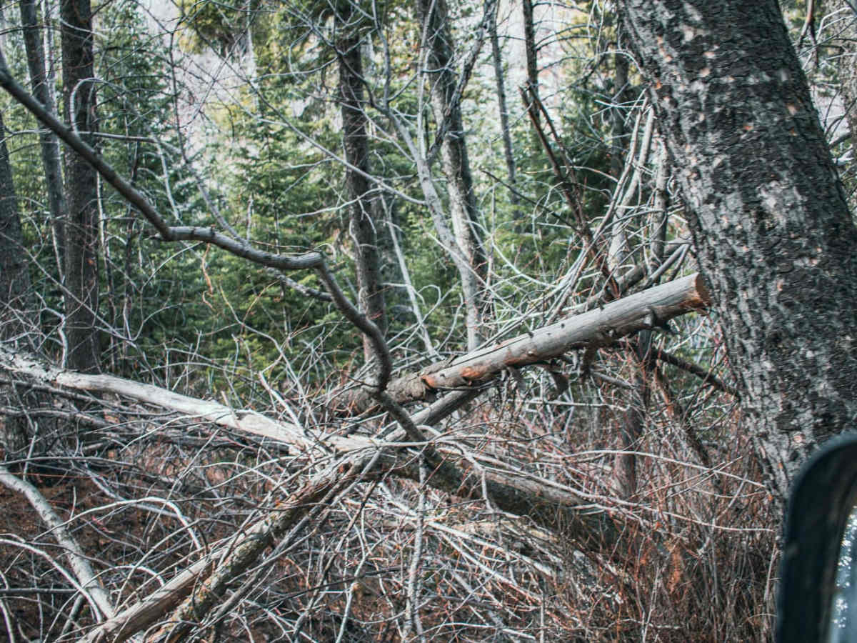 Pole Canyon Road photo 4