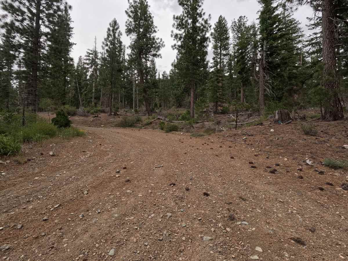 Cooper Meadow Spur A - FS 40N67A photo 3