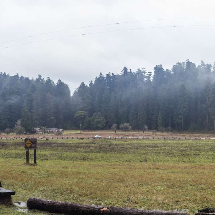 Near Cathedral Trees Trail