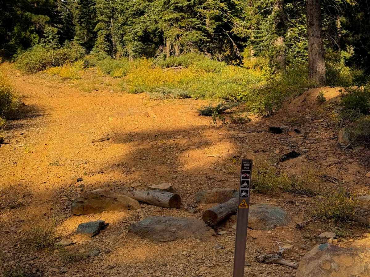 Grizzly Ridge  trail photo