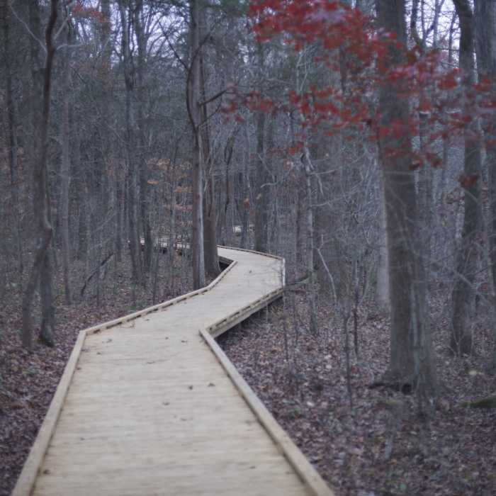 Near Sloans Crossing Pond Walk