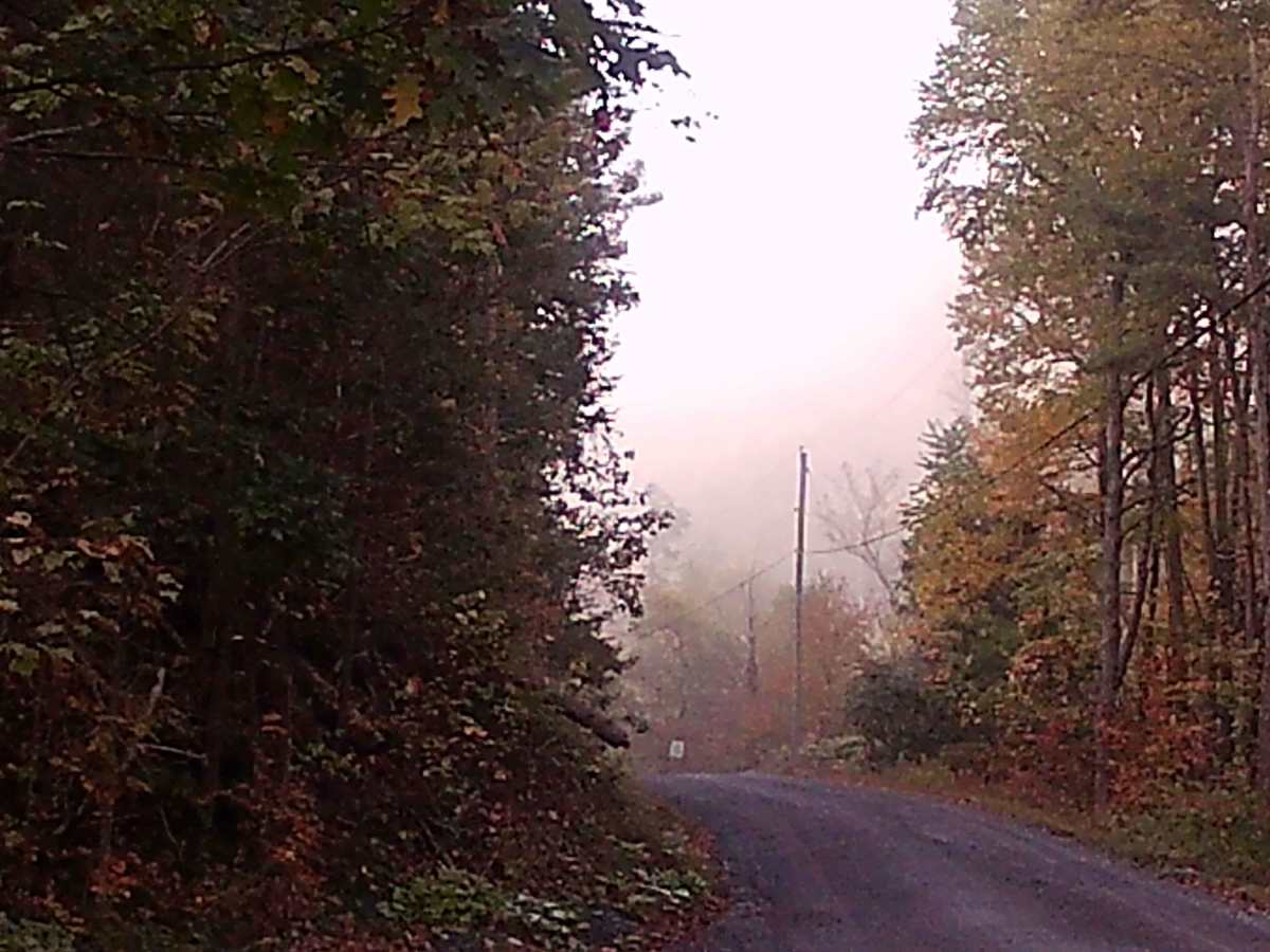 Lingle Valley Road trail photo