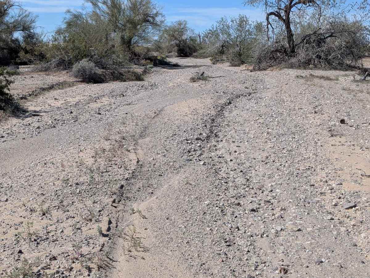 BLM 758 trail photo