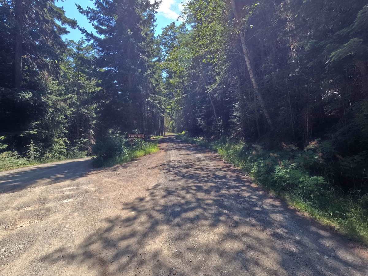 FS 2870270 trail photo