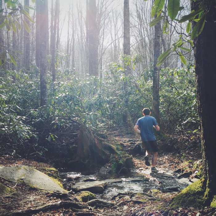 Near Boone Fork Trail