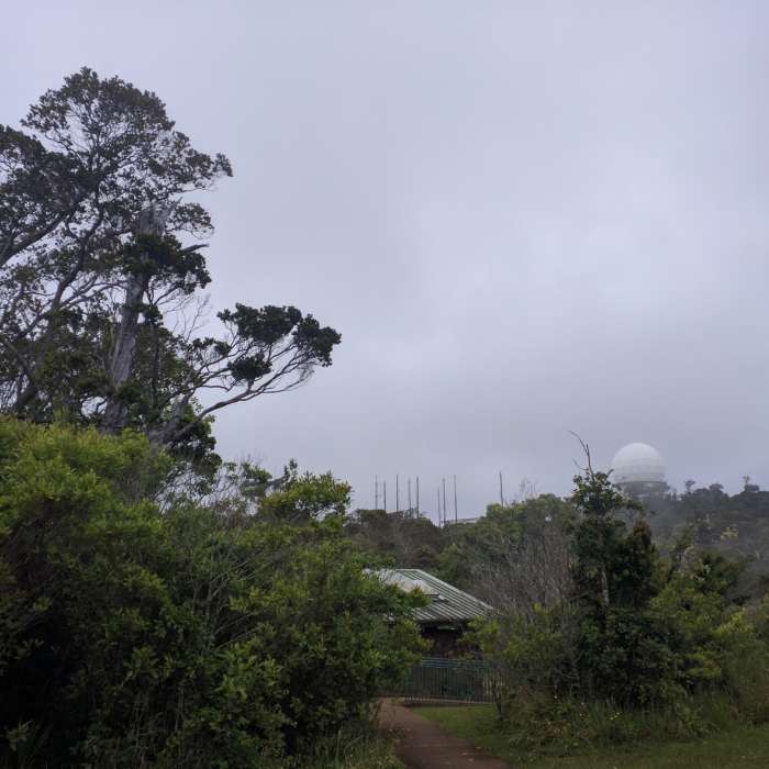 Near Kalepa Ridge Trail