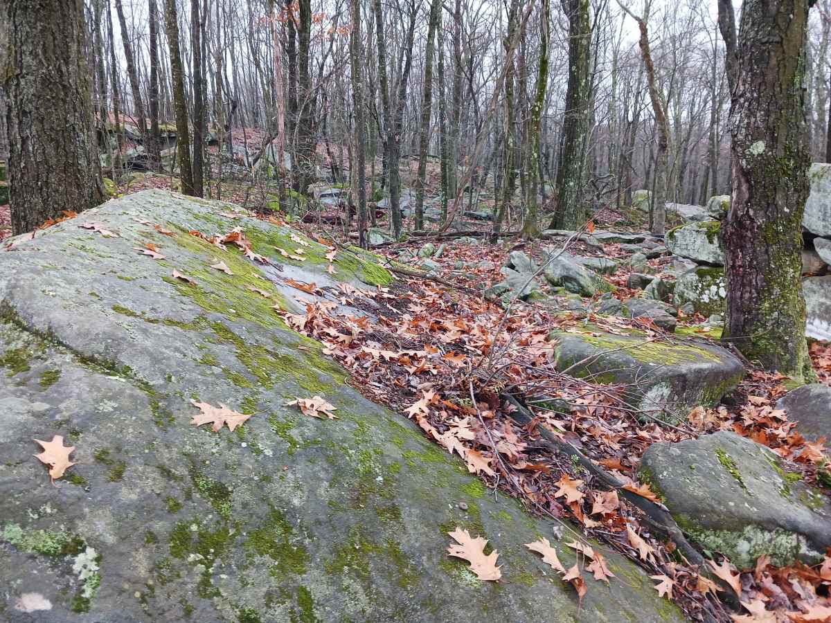 OHV 33 - Rock Run Recreation Area photo 4
