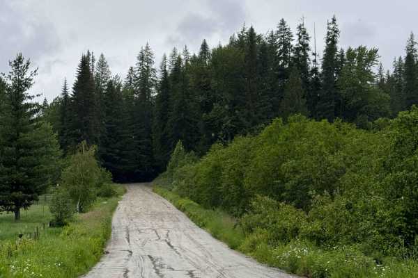 Lamb Creek Road - FS 310
