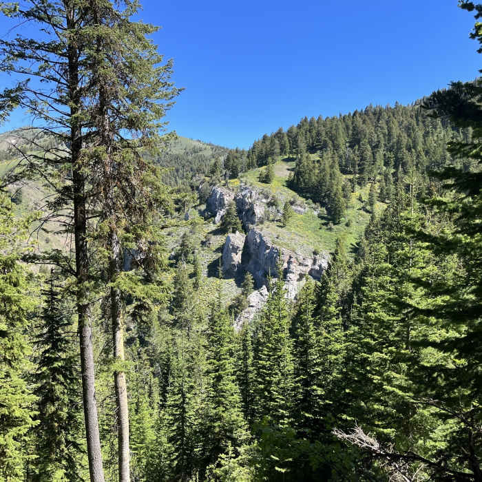 A fun cliff band visible from the Robbers Roost Trail. Near Robbers Roost Trail #253