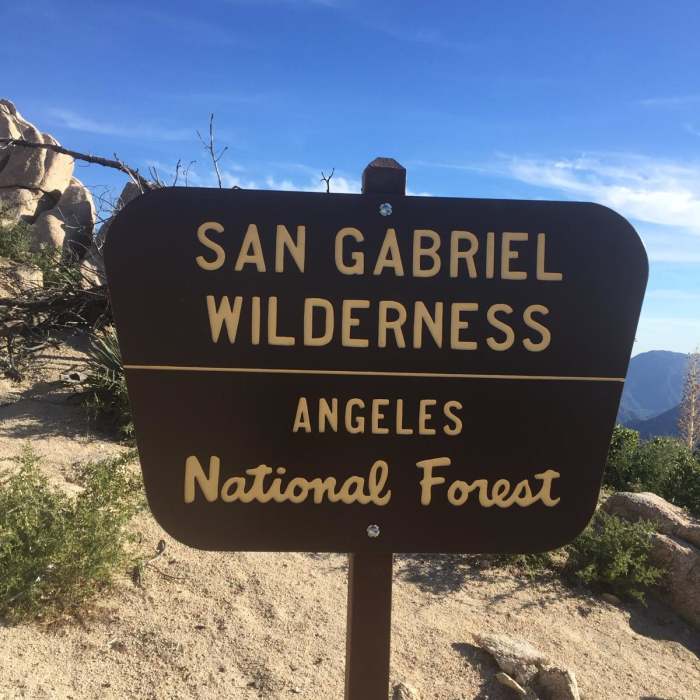 Near Three Points to Winston Peak