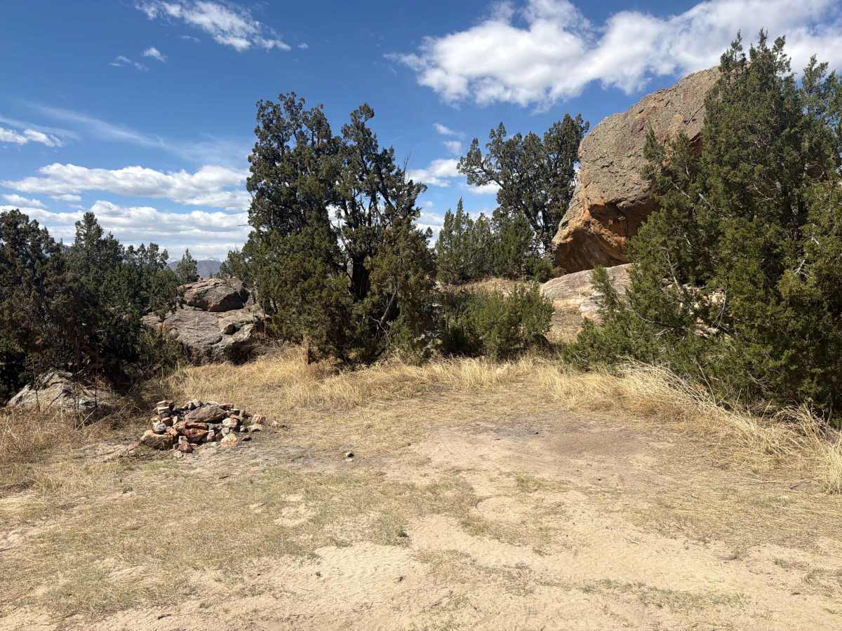 BLM 5941B photo 3