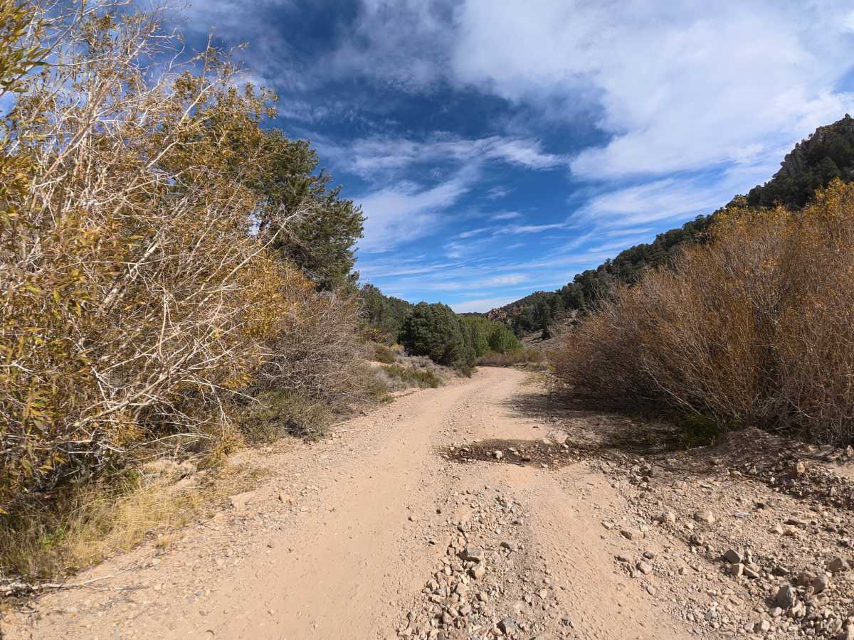 Masonic Gulch photo 3