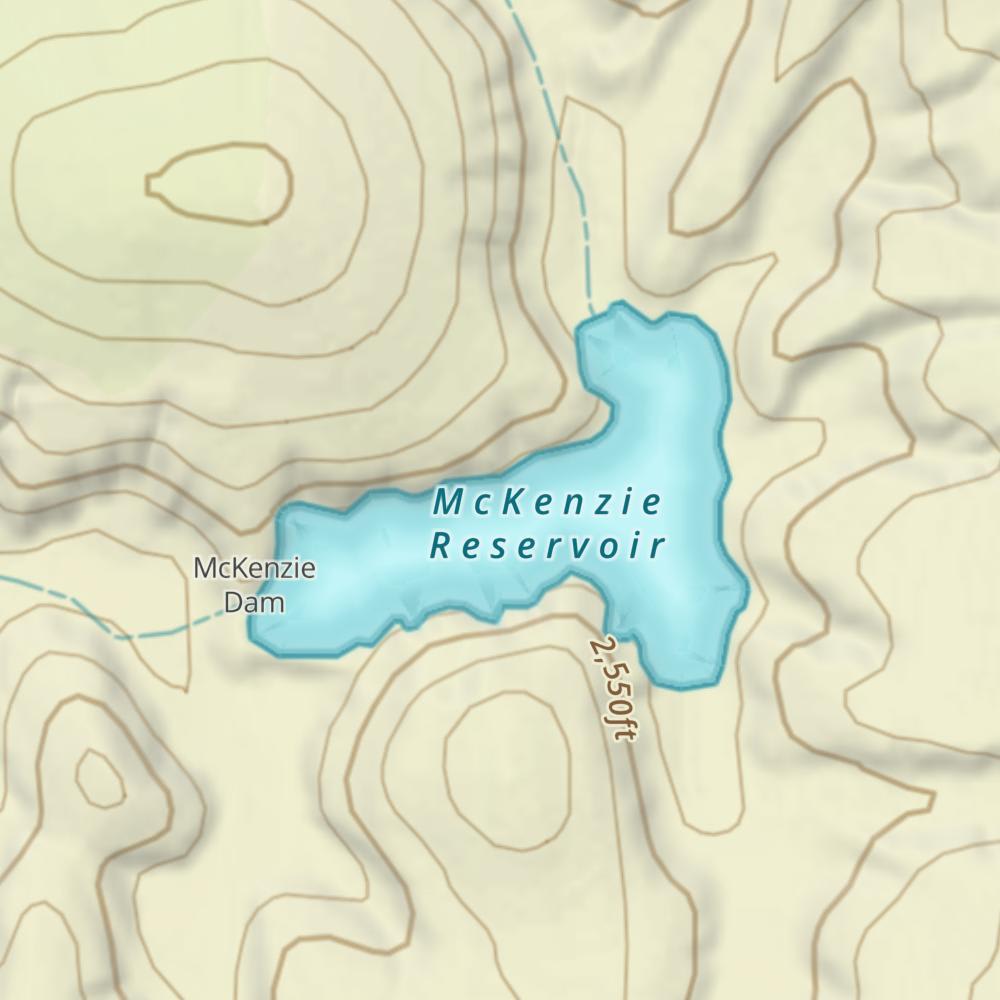 McKenzie Reservoir photo