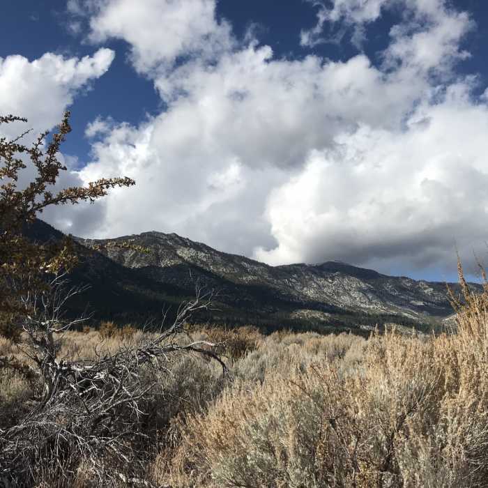 Near Fay Luther/Jobs Peak Ranch Trail