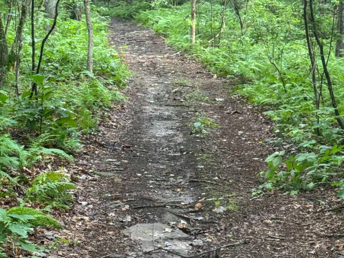 Trail 59 photo 3